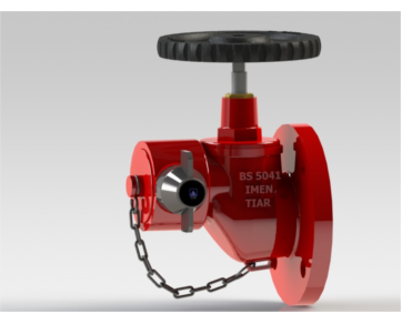 Globe Valve